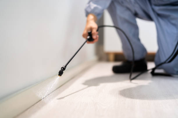 Licensed Pest Control service in Dunedin, FL - Show Me Pest Control