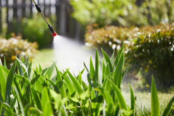 Tamper-Resistant Bait Stations for Rodents in Dunedin