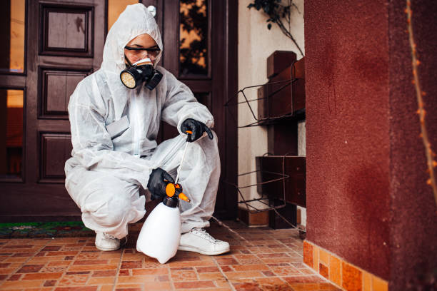 Attic and Crawl Space Rodent Treatment in Dunedin